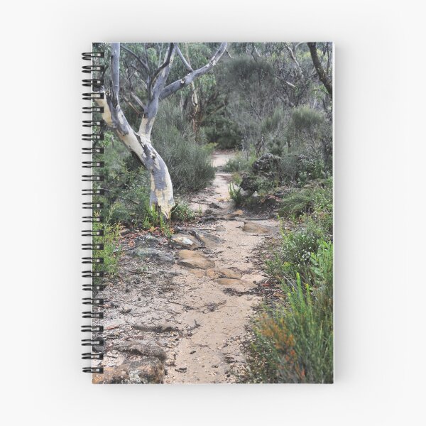 Item preview, Walk This Way to Anvil Rock NSW Australia designed and sold by Bev Woodman.