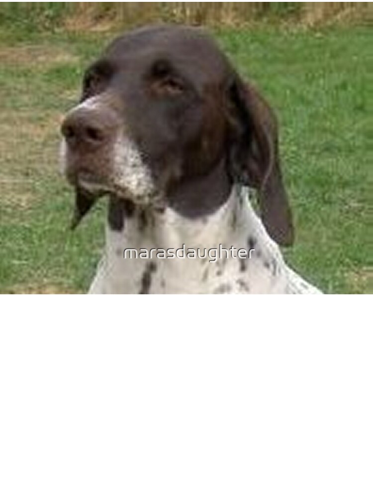 German Shorthaired Pointer Liver And White Baby One Piece By