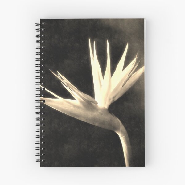 Item preview, Cut Bird of Paradise Flowers 3 Antiqued designed and sold by TravelPhotoArt.