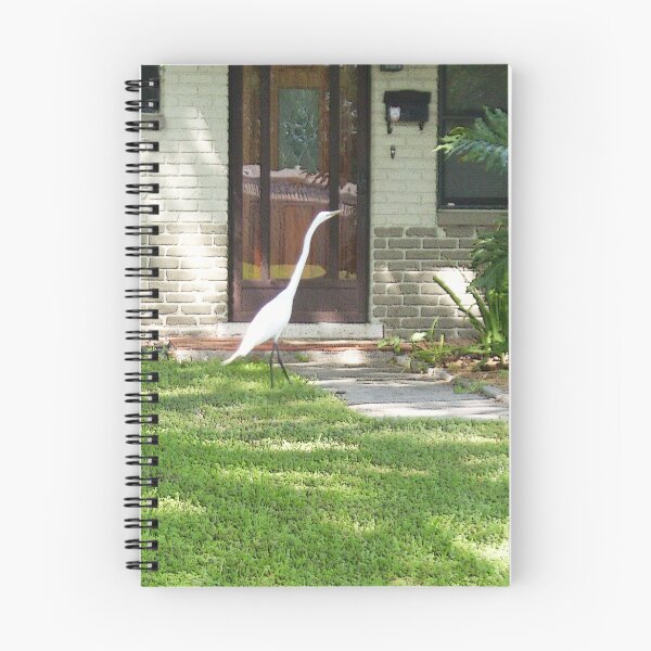 Item preview, Anybody Home? designed and sold by Ginny Schmidt.