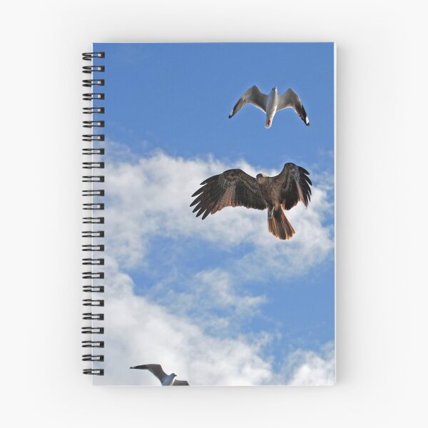 Item preview, Soaring up high designed and sold by treborbob.
