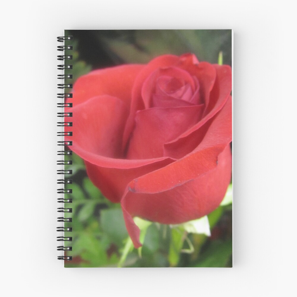 Item preview, Spiral Notebook designed and sold by LisaDU.