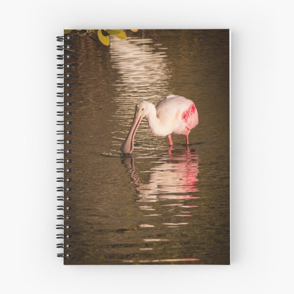 Item preview, Roseate Spoonbill - Merritt Island Wildlife Refuge designed and sold by ArtThatSmiles.