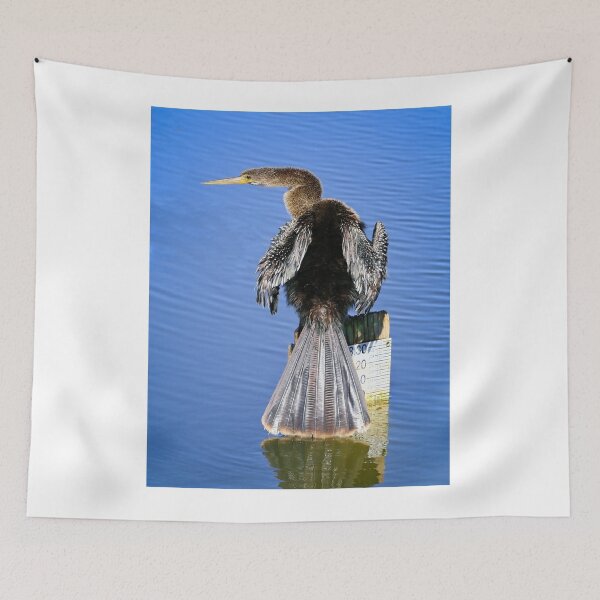 Item preview, Anhinga designed and sold by YelloCoyote Photography.