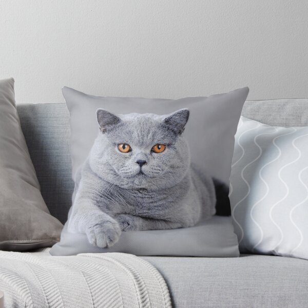 Item preview, British shorthair cat portrait designed and sold by PetsArt.