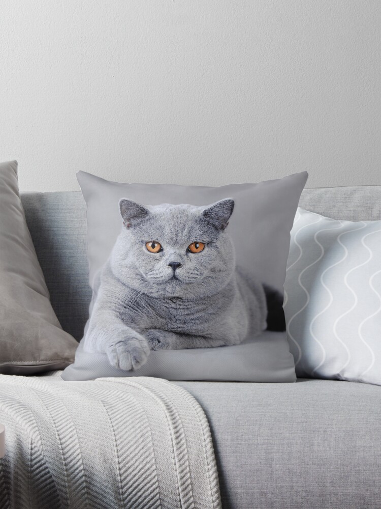 Thumbnail 1 of 4, Pillow, British shorthair cat portrait designed and sold by PetsArt.