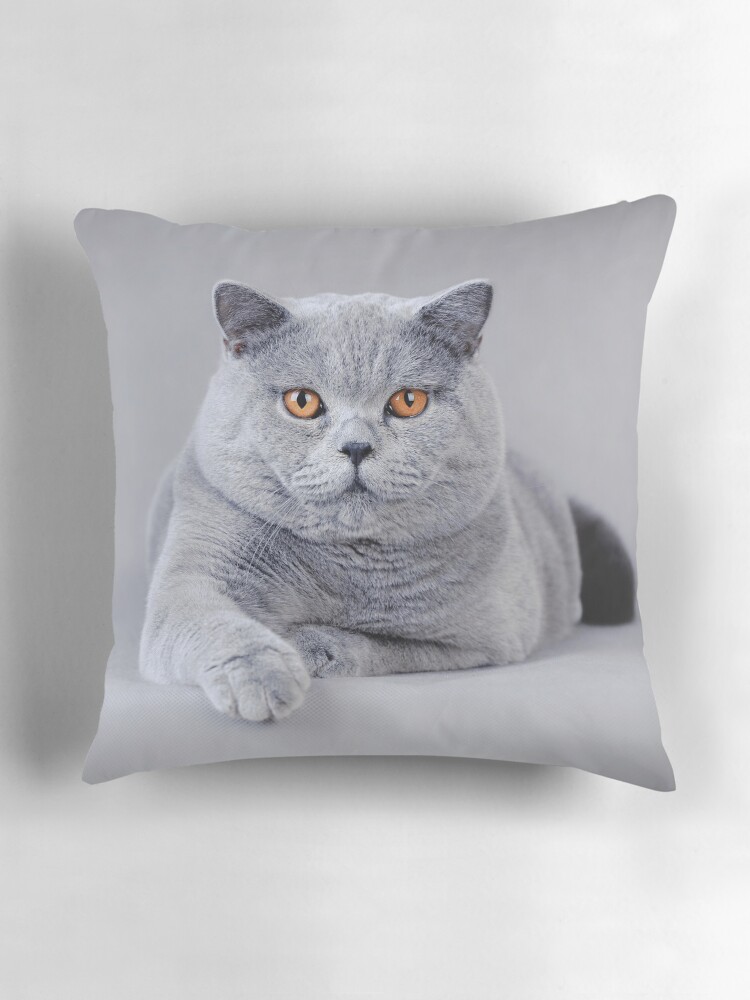 Thumbnail 3 of 4, Pillow, British shorthair cat portrait designed and sold by PetsArt.