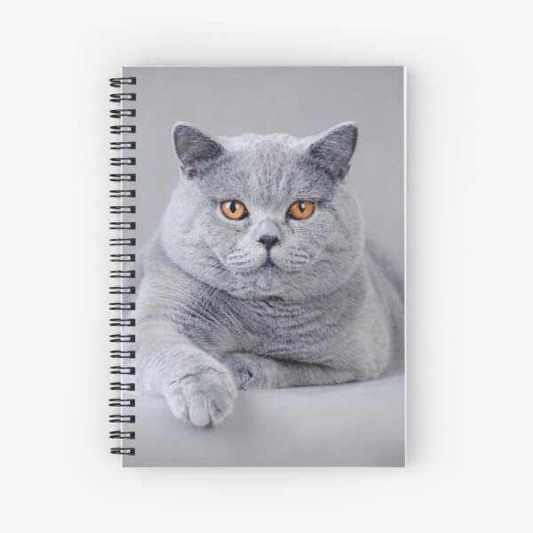 Cat Ears Spiral Notebooks Redbubble - roblox blue cat tail