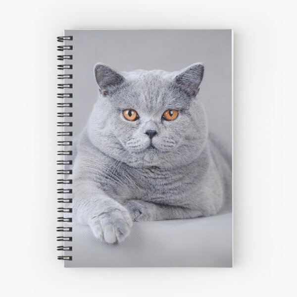 Item preview, British shorthair cat portrait designed and sold by PetsArt.