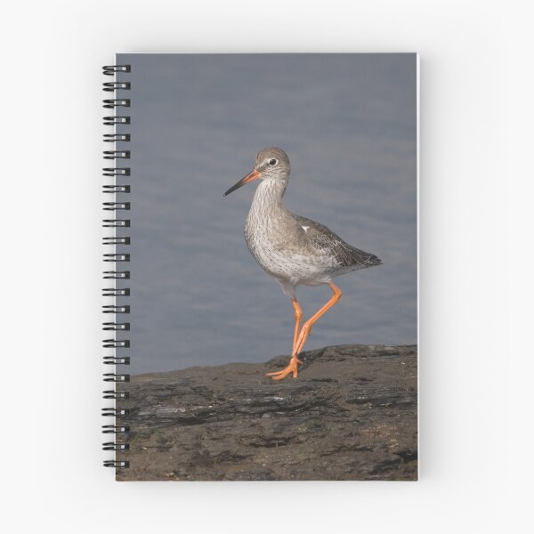 Item preview, Redshank designed and sold by Nigel Tinlin.