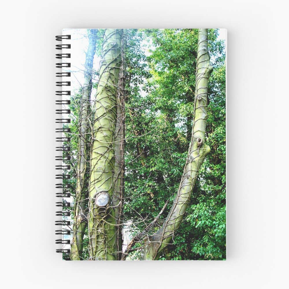 Vista previa del artículo con la obra «Cuaderno de espiral», diseñado y vendido por gemsie89.