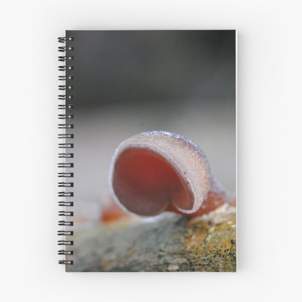 Item preview, Auricularia cornea designed and sold by Erin Anderson.