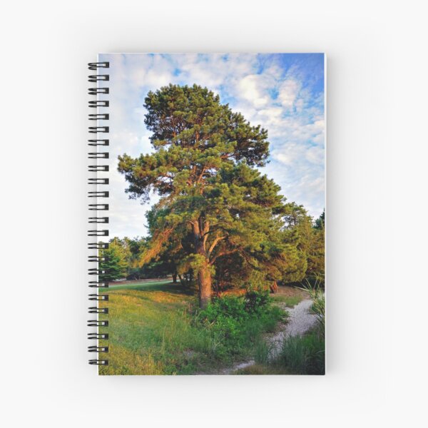 Lone Pine by the Lake Spiral Notebook