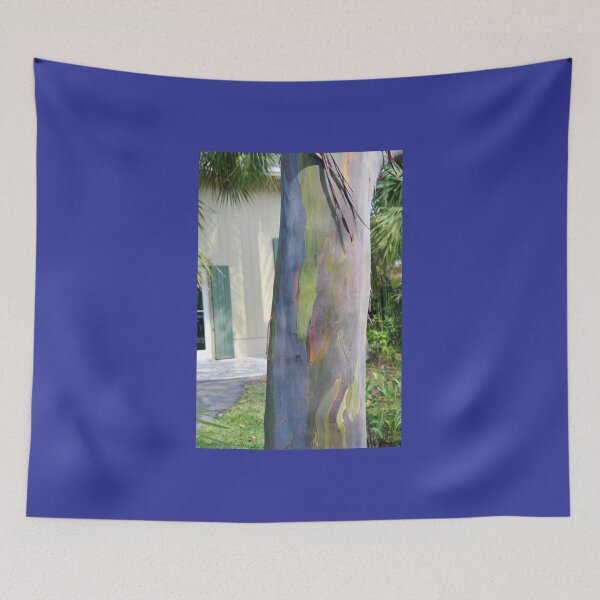 Item preview, Rainbow Eucalyptus Tree designed and sold by 2CrabbySisters.