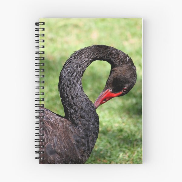 Artikelvorschau, Black Swan entworfen und verkauft von Cassandra Purkiss.