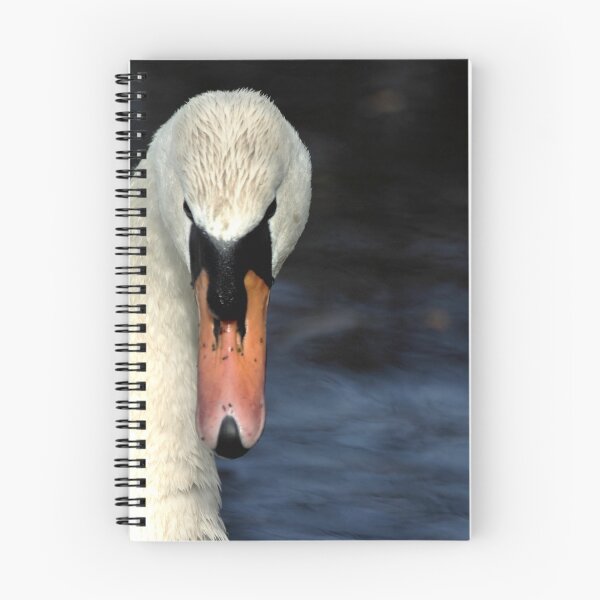 Item preview, Looking at you... only you... designed and sold by Bob Daalder Photography.