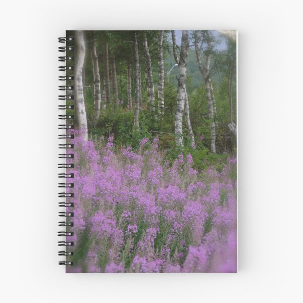 Item preview, Nordland  forest landscape. Norway . by Brown Sugar. Views (149) favorited by (3) thx! designed and sold by © Andrzej Goszcz,M.D. Ph.D.