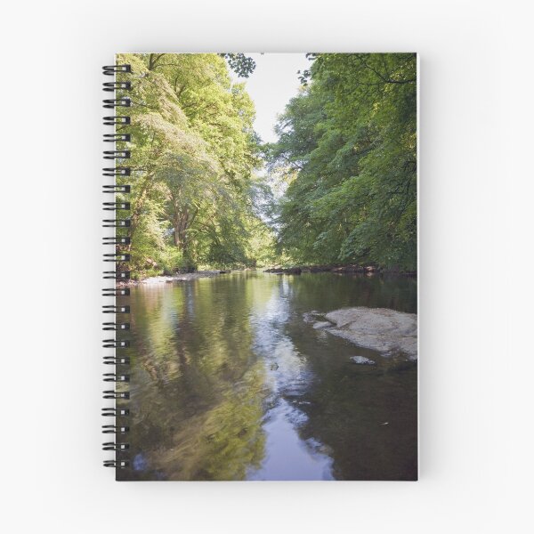 Item preview, River Dart near Buckfastleigh designed and sold by Kezzles.