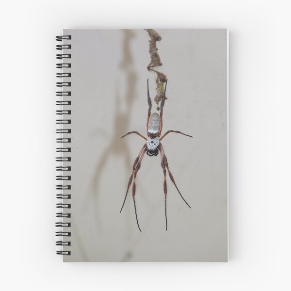 Item preview, Welcome from the Orb Weaver designed and sold by Anne van Alkemade.