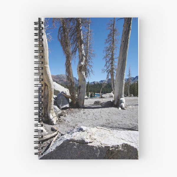 Item preview, Inyo National Forest designed and sold by Dawn Parker.