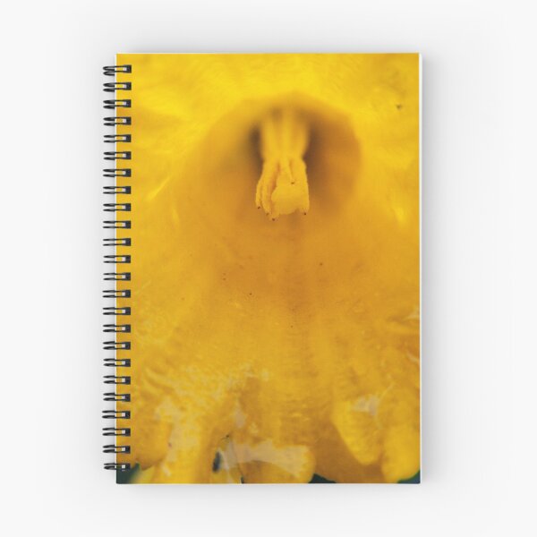 Item preview, Up, Close, & Personal designed and sold by photolyns.