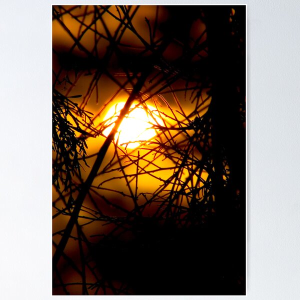 Item preview, 'never shoot the sun' designed and sold by basimpleasy }.