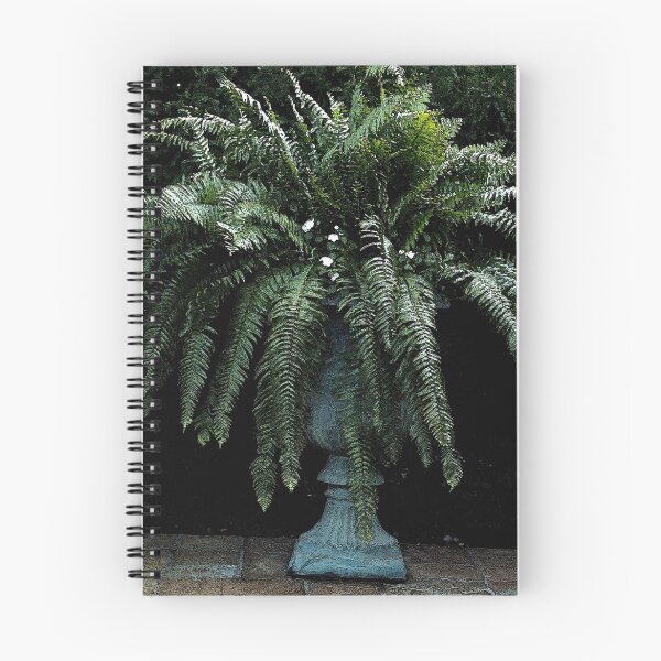 Item preview, Ferny Formality designed and sold by Betty Mackey.