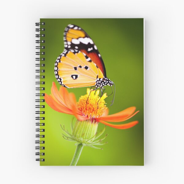 Item preview, Butterfly 8 designed and sold by Jacinthe Brault.