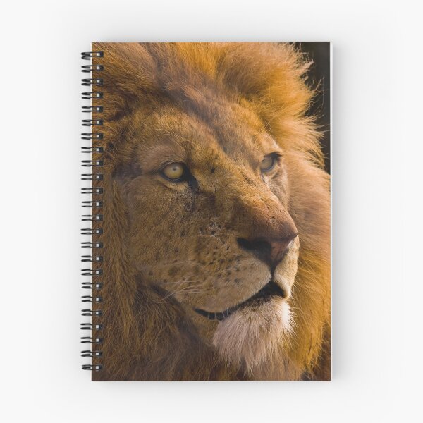 Item preview, Proud Lion designed and sold by SteveBB.
