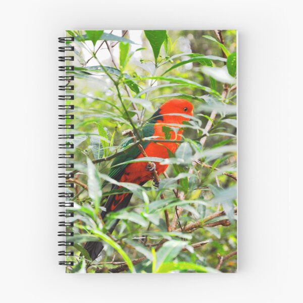 Item preview, Australian King Parrot Mt. Dandanong  designed and sold by ASSA.