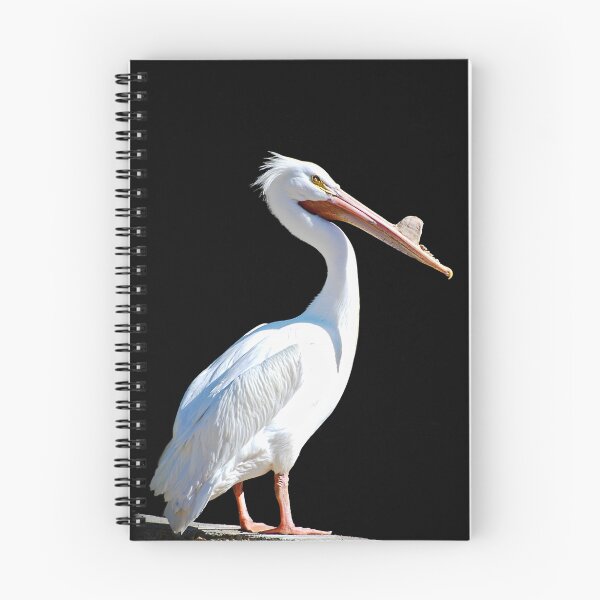 Item preview, The Pelican designed and sold by Saija  Lehtonen.