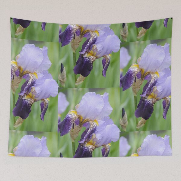 Item preview, Purple Irises designed and sold by 2CrabbySisters.