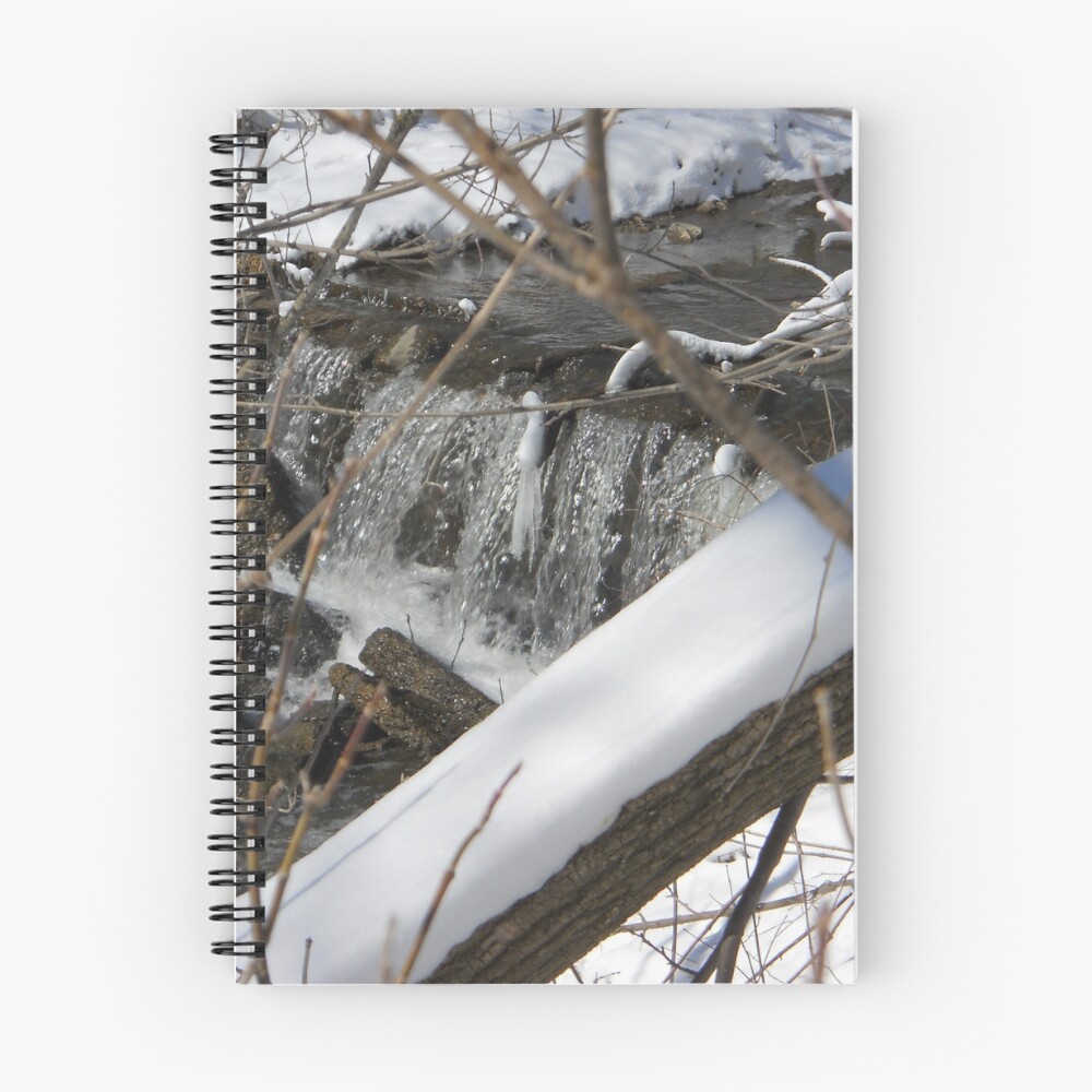 Item preview, Spiral Notebook designed and sold by Temagami.