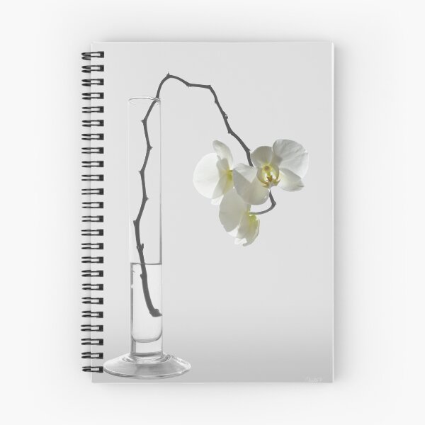 Item preview, nuance  designed and sold by VallaV.