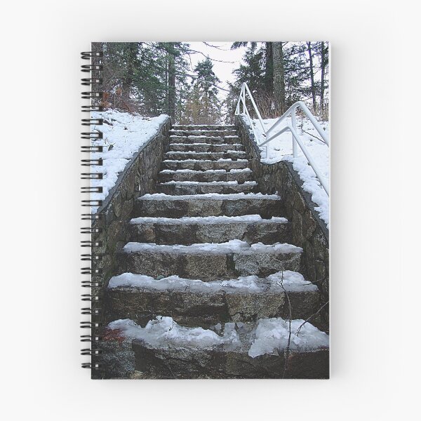 Item preview, Steps at Cole's Bay designed and sold by Jann Ashworth.