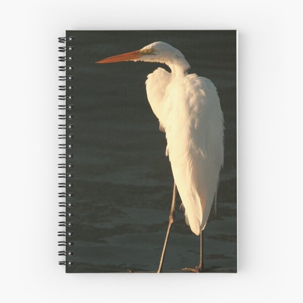 Item preview, Snowy Egret designed and sold by Trudy LeDoux.