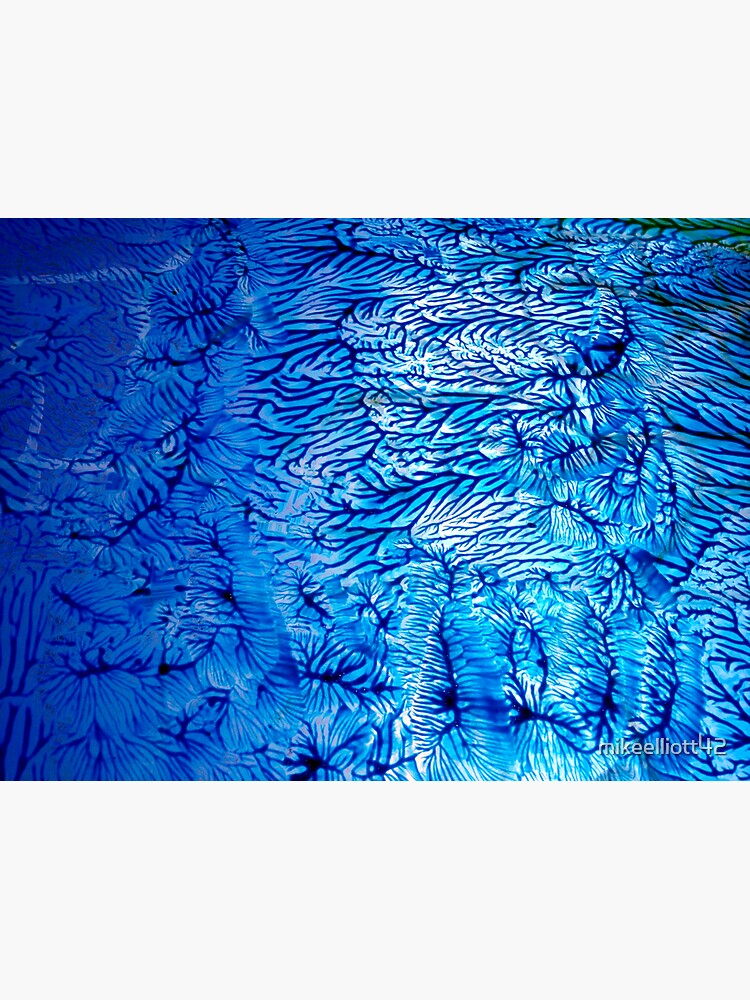 Acrylic on Glass, ©2012MikeElliott by mikeelliott42
