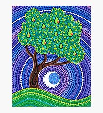 Pear Tree of Longevity Photographic Print