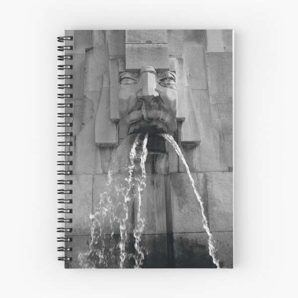 Artikelvorschau, Face In The Fountain - Milan entworfen und verkauft von LilPinkyPics.