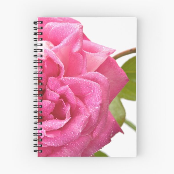 Item preview, Pink rose designed and sold by jordygraph.