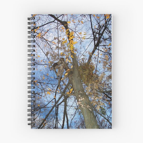 Artikelvorschau, Autumn rememberance entworfen und verkauft von Nella Khanis.