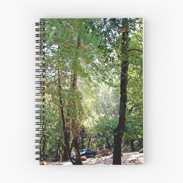 Item preview, Early morning sun light designed and sold by happyphotos.