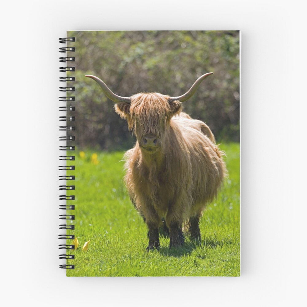 Item preview, Spiral Notebook designed and sold by Rando.