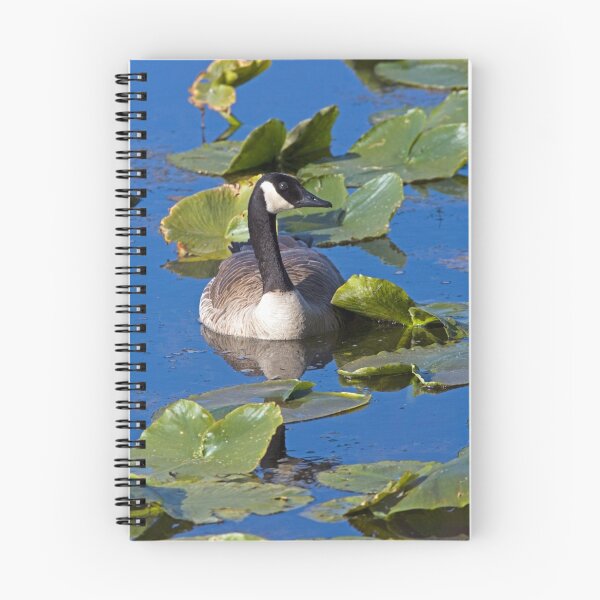 Artikelvorschau, Canada Goose in the Lily Pads entworfen und verkauft von Randall Ingalls.