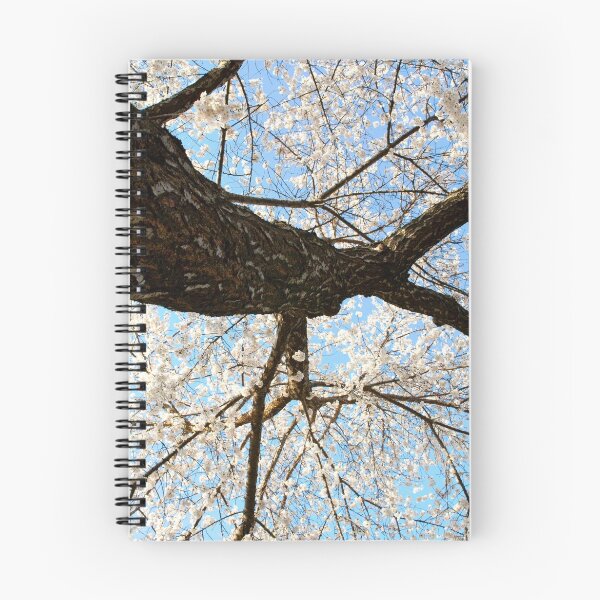 Item preview, Early Spring Blooming designed and sold by photolyns.