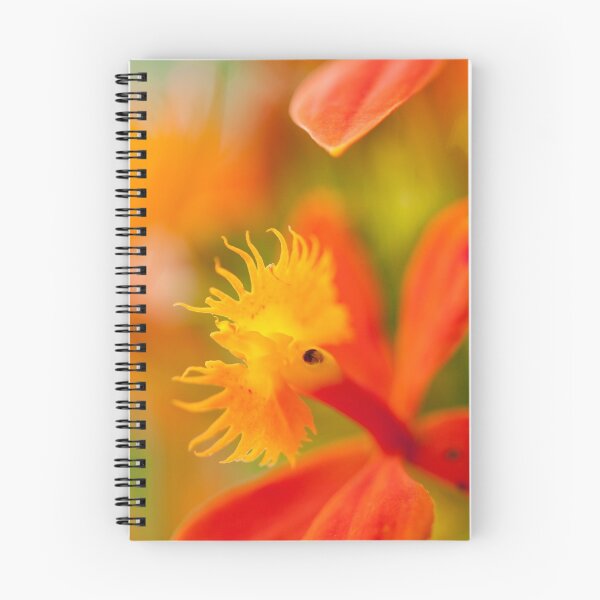 Item preview, Sun Spot designed and sold by Scott  Hafer.
