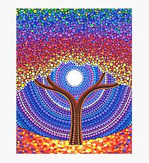 Secret Life of Trees Photographic Print