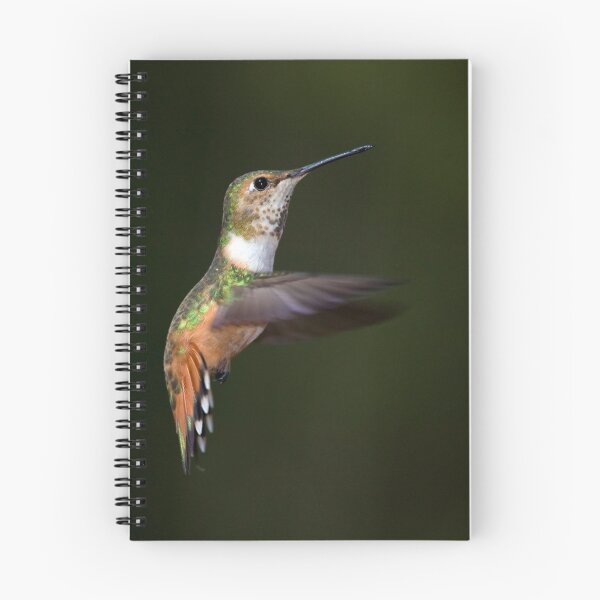 Item preview, Rufous Hummingbird in Flight designed and sold by Randall Ingalls.
