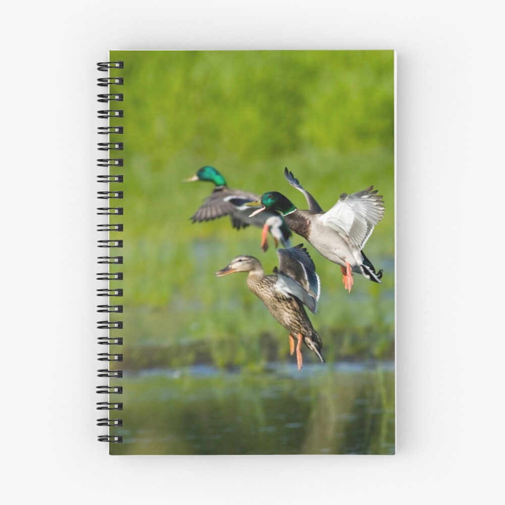 Item preview, Spiral Notebook designed and sold by Rando.
