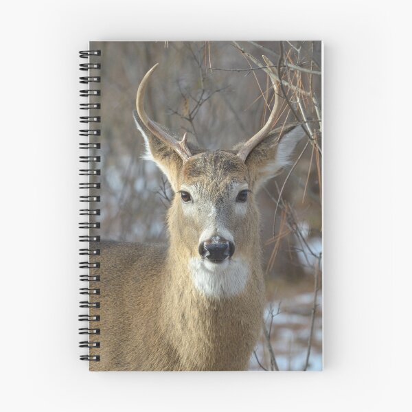 Item preview, Winter White-tailed Deer designed and sold by Heather Pickard.